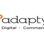 Adapty Solutions is looking for Frontend Developer