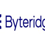 Byteridge Software is looking for QA Testing Engineer (SDET)