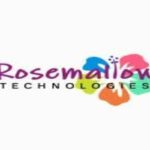 Rosemallow Technologies is looking for Senior .Net Developer