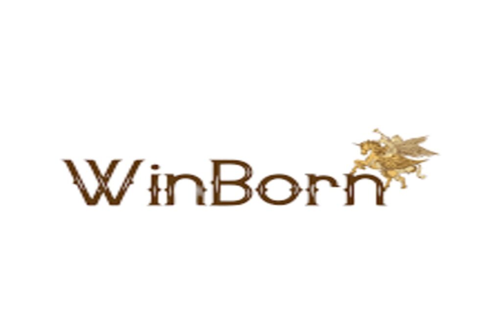 WinBorn Enterprises is looking for Technical Support Executive