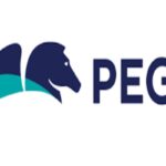 Pegasystems Inc is looking for Technical Support Engineer