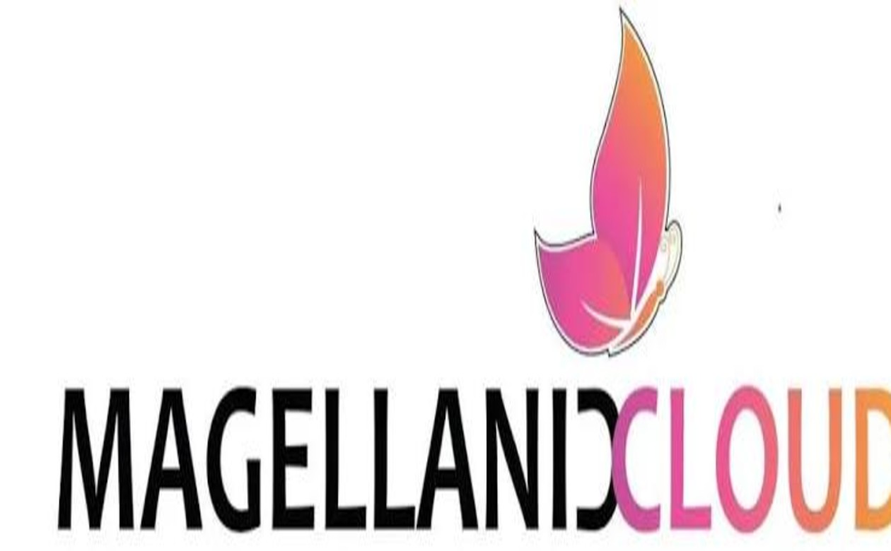 Magellanic Cloud Limited is looking for .Net Fullstack Developer 1 Magellanic Cloud Limited is looking for .Net Fullstack Developer