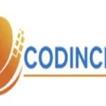 QA Engineer - Manual Testing | Codincity Digital Technologies | Chennai, Bengaluru
